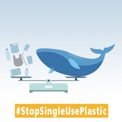 Non c’è più spazio per fregarsene: #StopSingleUsePlastic