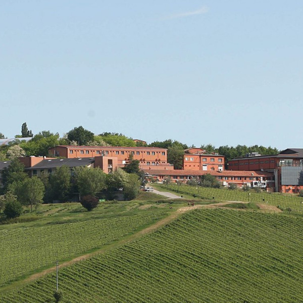 Nasce "Il Campiello per San Patrignano"