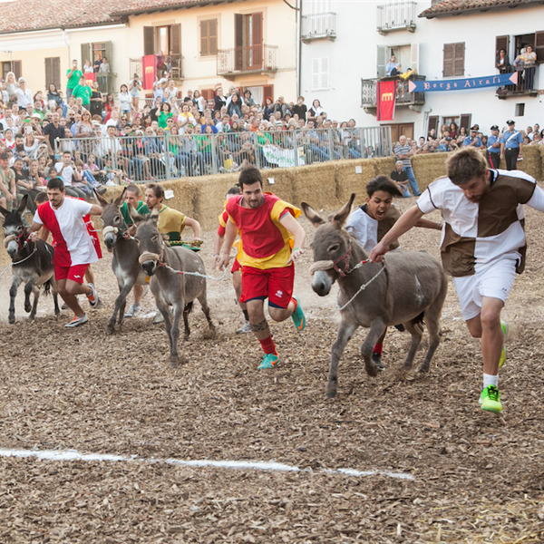 Il Palio degli Asini di Cocconato - 50a edizione