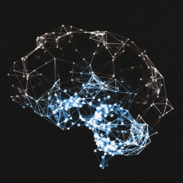 Dominio e sottomissione. Schiavi, animali, macchine, Intelligenza Artificiale