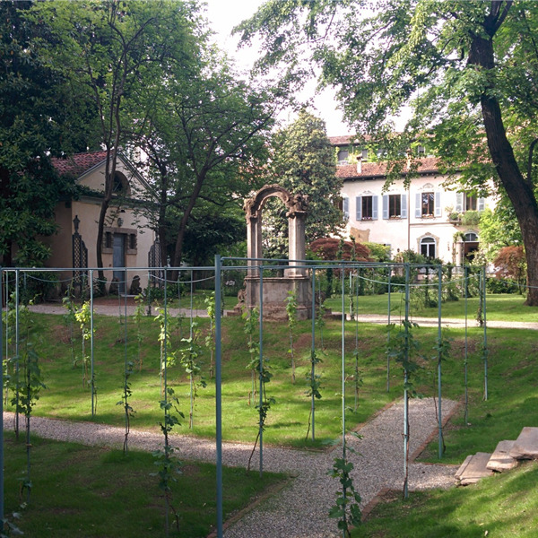 Incontro: La vigna di Leonardo. Cronaca di una scoperta