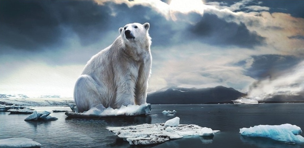 Cambiamenti climatici e ghiacciai. Incontro con Massimo Frezzotti