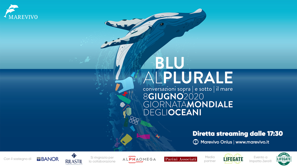 "Blu al plurale": evento online per la Giornata mondiale degli Oceani
