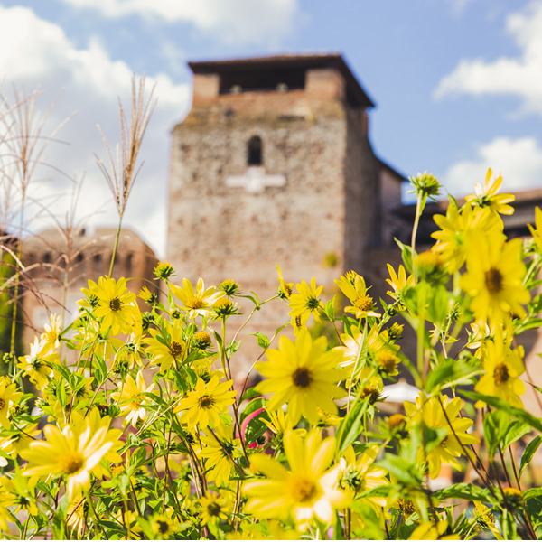 Giardini d'Autore 2020 - Piante, fiori, artigianato e design