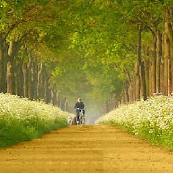 Ciclo di incontri a Padova: "I giovedì letterari"