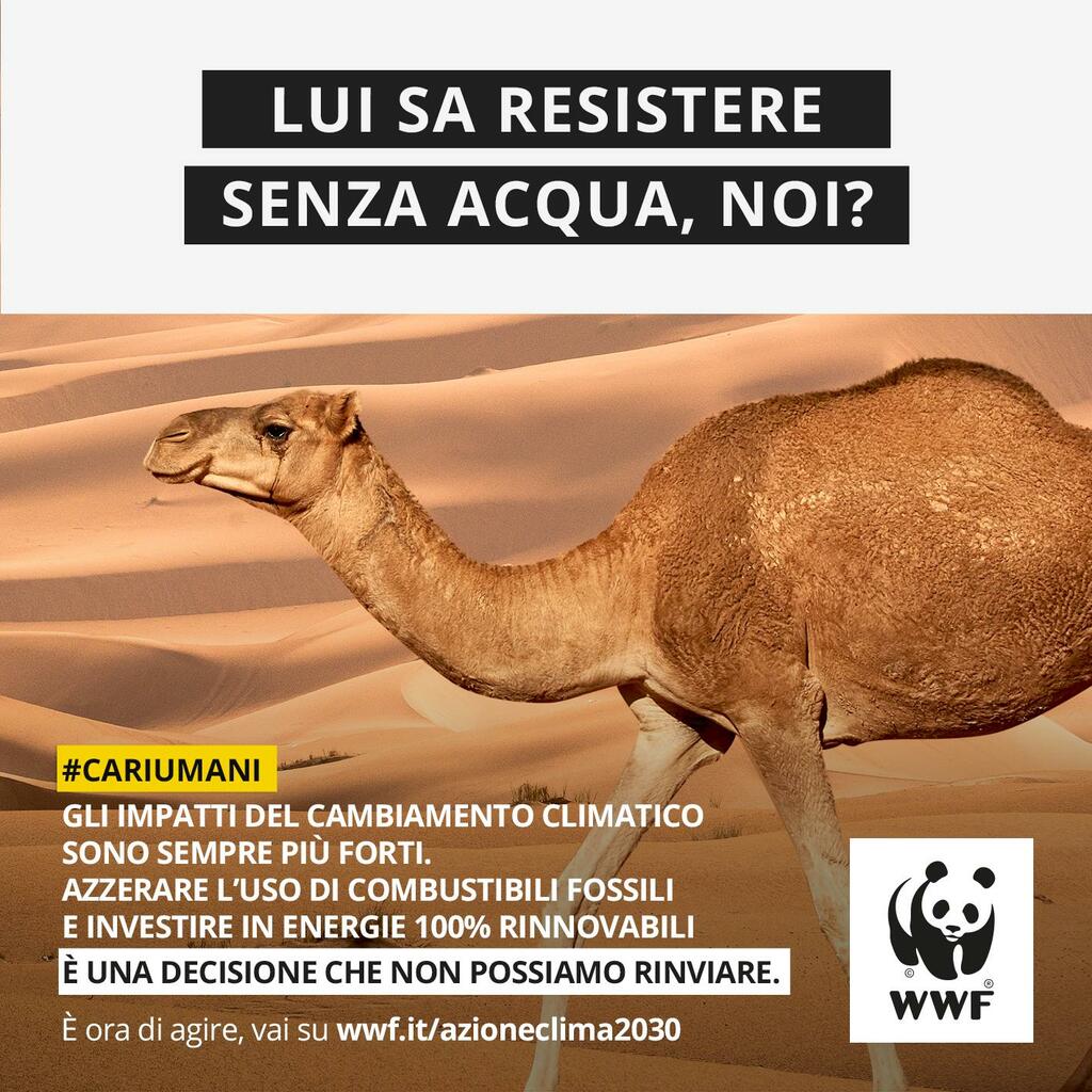 "Cari umani...": la nuova campagna WWF parla con la voce della Natura