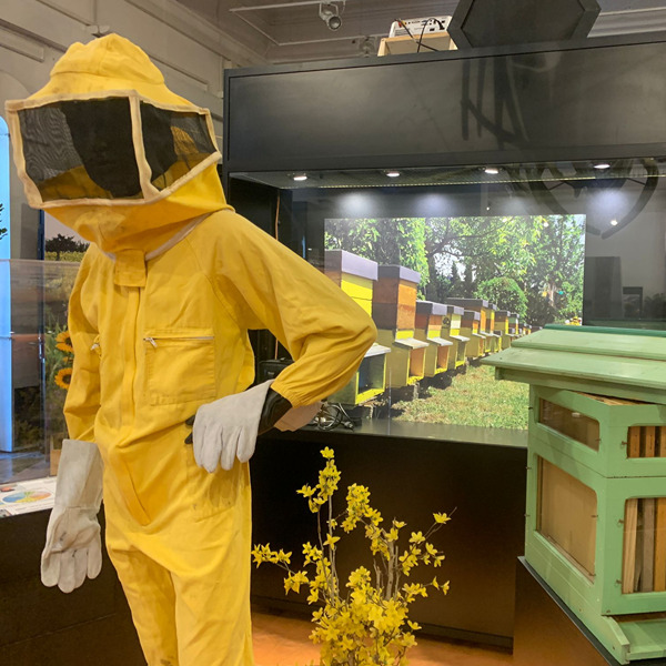 La via delle api. Un percorso attraverso il mondo delle api e i loro prodotti
