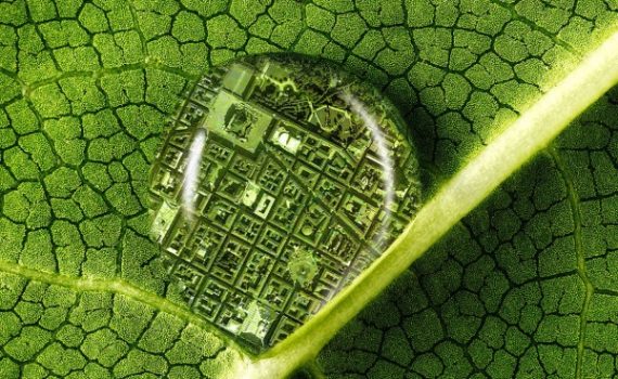 Spore: il podcast sulle malattie delle piante che hanno cambiato il mondo