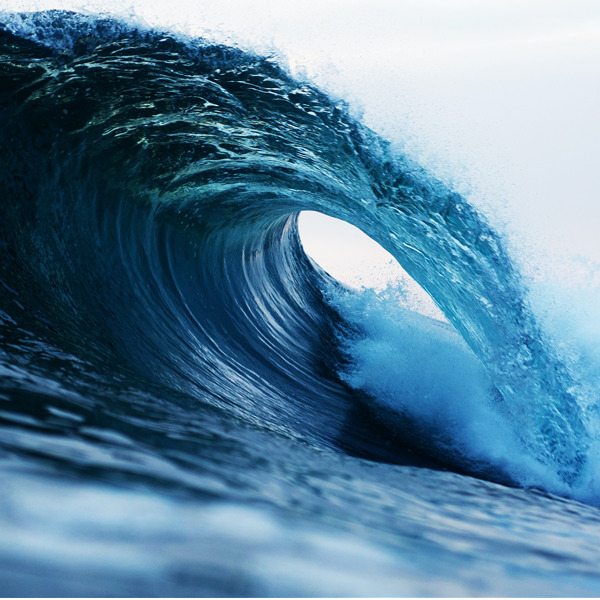 Oceanbreath: il respiro dell'oceano. Incontro con Max Casacci e Mariasole Bianco