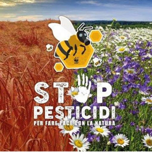 Stop pesticidi: salviamo api e agricoltori