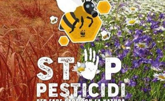 Stop pesticidi: salviamo api e agricoltori