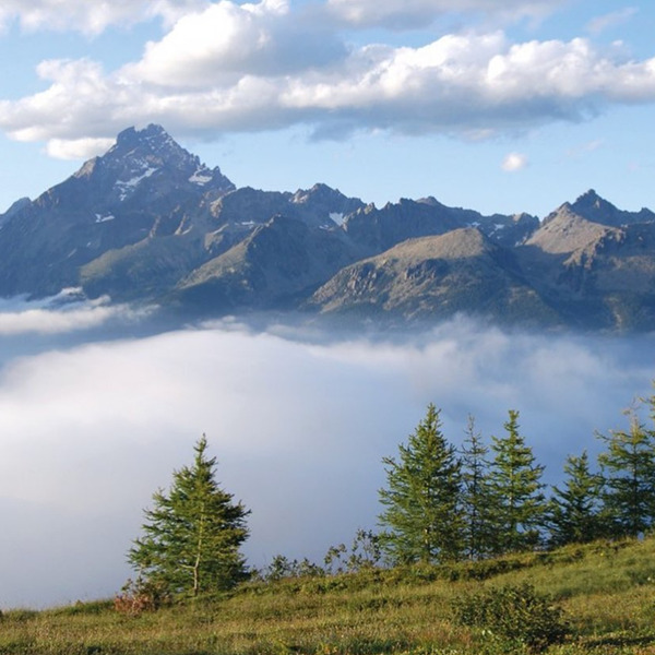 Verso Saluzzo Monviso 2024: quattro incontri online con le realtà produttive, turistiche, sportive del territorio