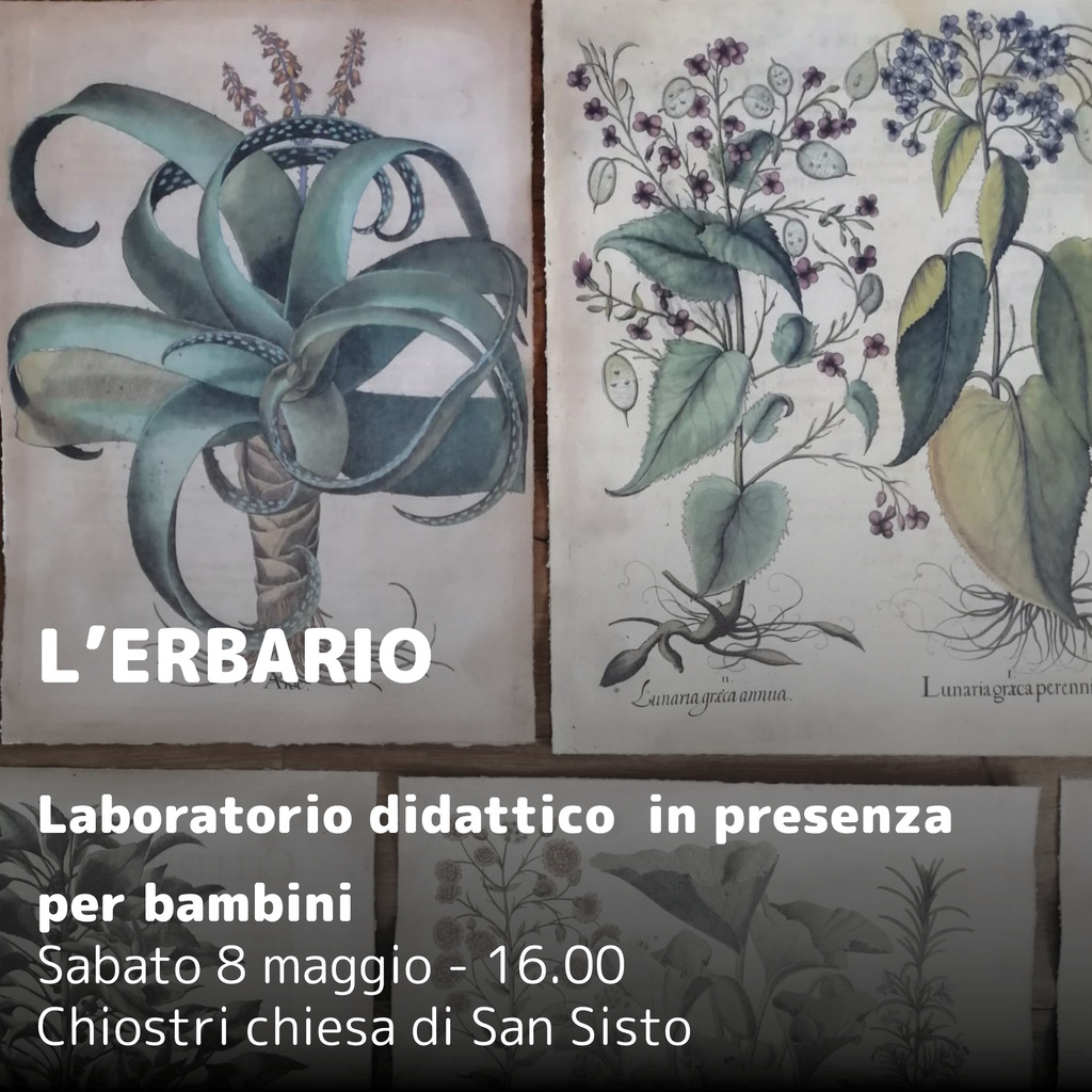 Laboratorio didattico online per bambini: "L'erbario"