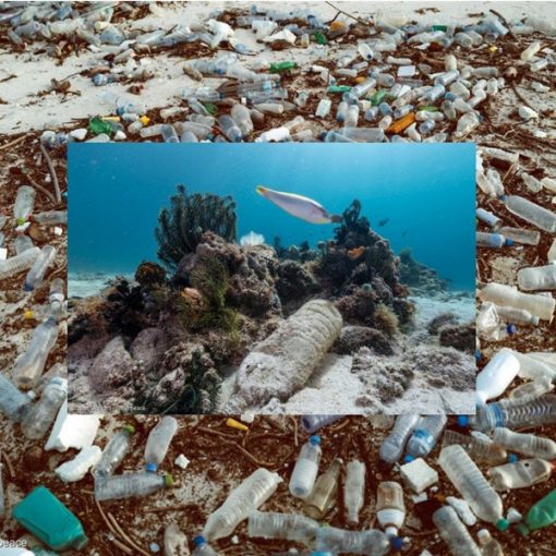 Stop bottiglie di plastica! Firma la petizione di Greenpeace