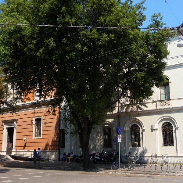 La petizione per intitolare la Biblioteca Civica di Treviso a Giovanni Comisso