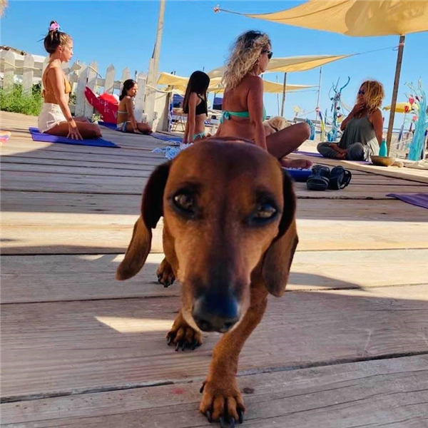 Festival dello yoga tra arte e natura al Baubeach