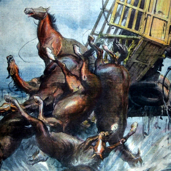 I Disegni di Achille Beltrame: "Un autotreno carico di cavalli precipita in un torrente"