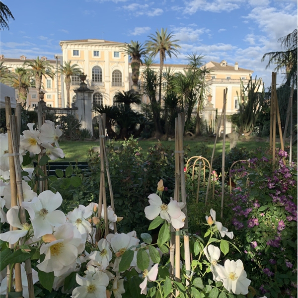 Giardininvaso al Museo Orto Botanico di Roma