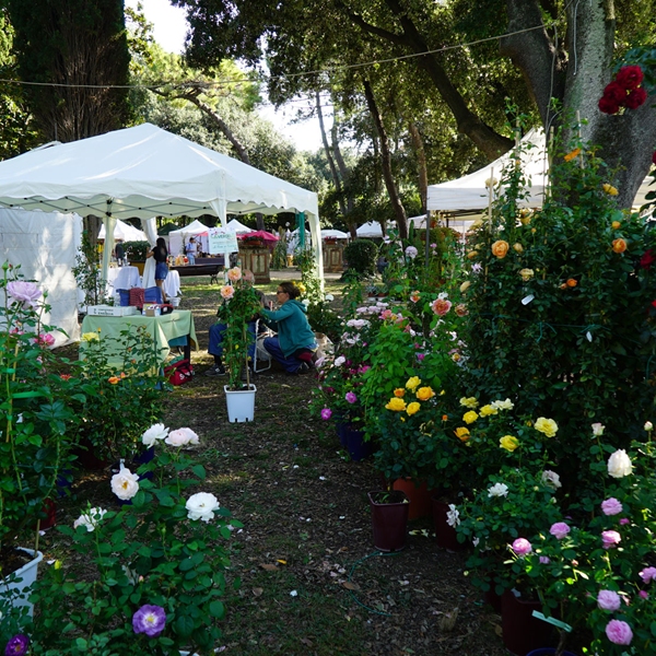 Harborea - Festa delle piante e dei giardini d'oltremare. Decima edizione