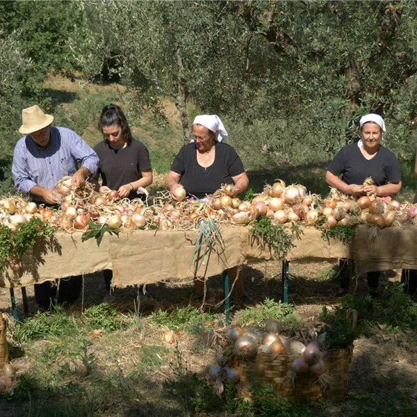 Intrecci - Al cuore della terra. Eventi e musica nel Parco del Cilento