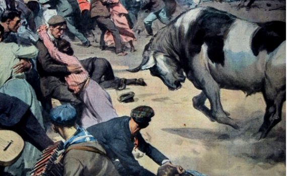 I Disegni di Achille Beltrame: "Il toro infuriato"