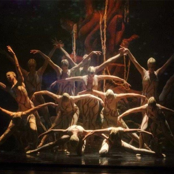 "L'albero della vita". Spettacolo di danza e proiezioni