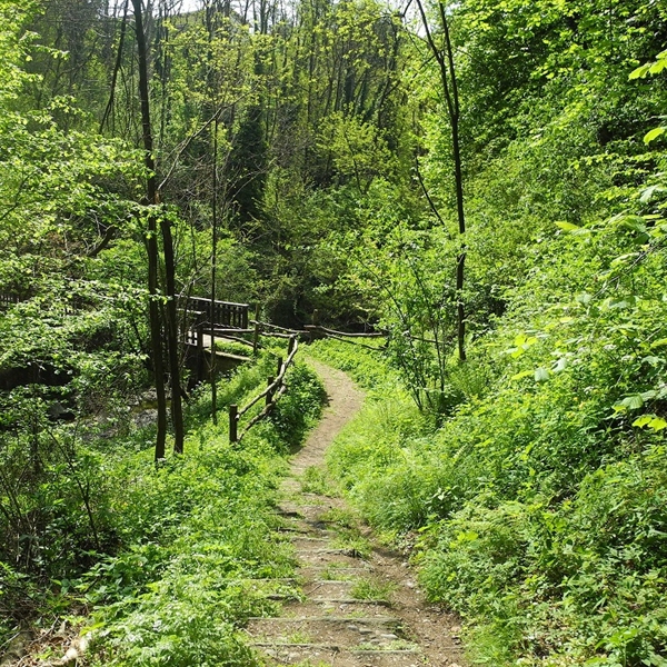 Passeggiata di Primavera al Castellazzo di Bollate