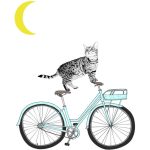 La gatta lunatica - Disegni, illustrazioni, idee, ceramiche e gioielli di Consuelo Coti