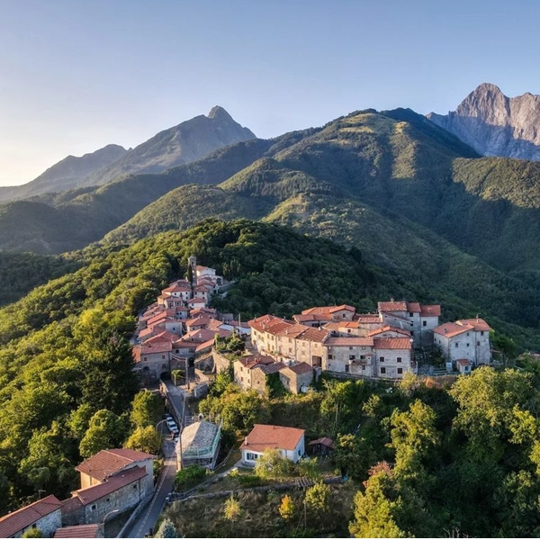 "Alberi maestri": performance itinerante per Lunigiana Land Art