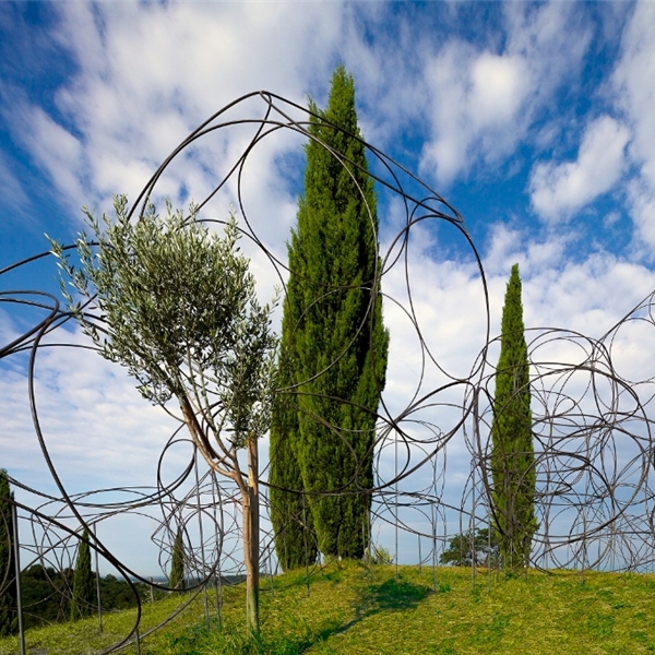 Programma attività 2022 del Vigne Museum