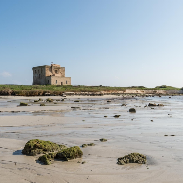 Tre giornate a Torre Guaceto dedicate alla rigenerazione degli ecosistemi