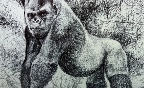 24 Settembre: Giornata Mondiale dei Gorilla