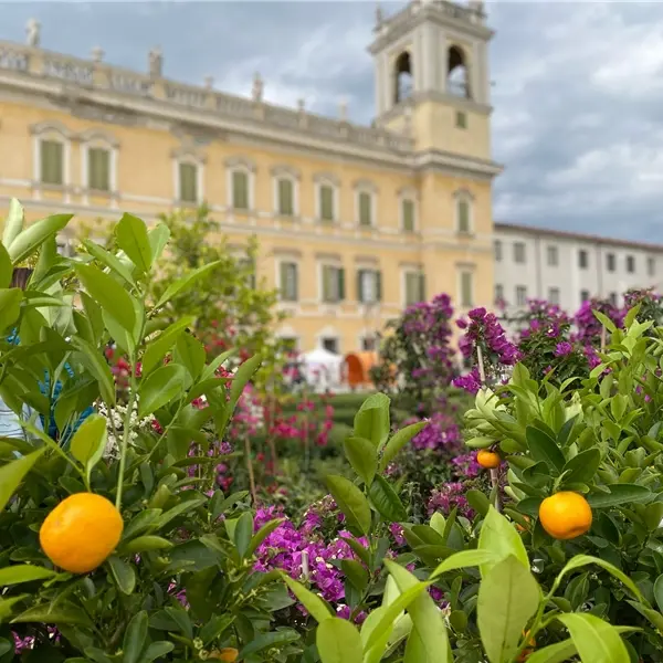 Nel segno del giglio. Alla Reggia di Colorno fioriture, colori, parole