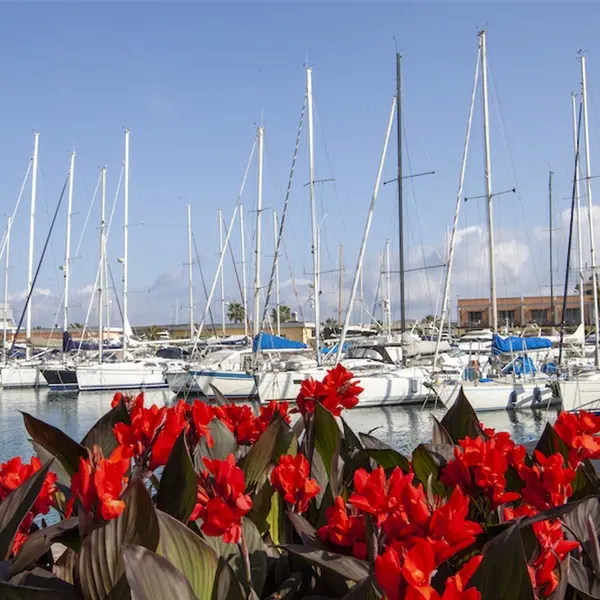 Yacht & Garden 2023 - Mostra mercato di fiori e piante del giardino mediterraneo