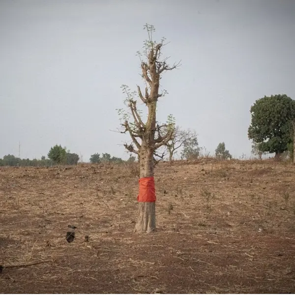 Bamako-Rome. Mostra degli studenti di Bamako, Mali