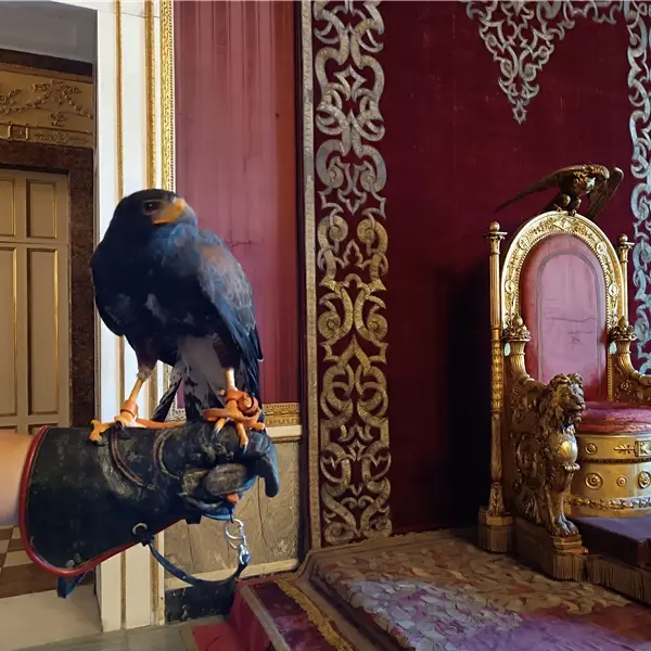 Storia della falconeria al Palazzo Reale di Napoli