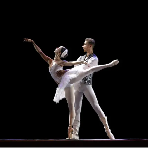 "Grandi Balletti" al Castello Sforzesco di Milano