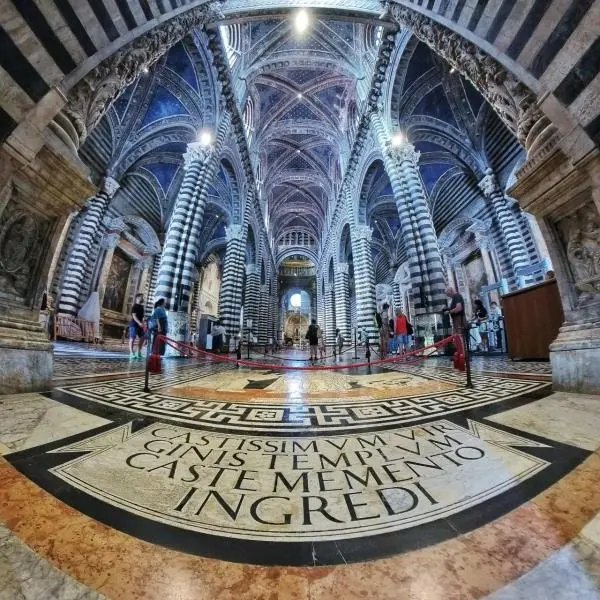 Ciclo di 5 incontri: "viaggio alla scoperta del pavimento alchemico del Duomo di Siena"