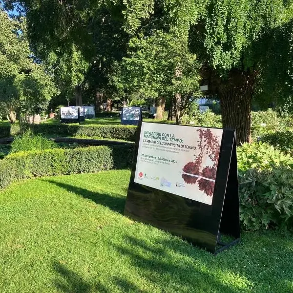 In viaggio con la macchina del tempo. In mostra l'erbario dell'Università di Torino