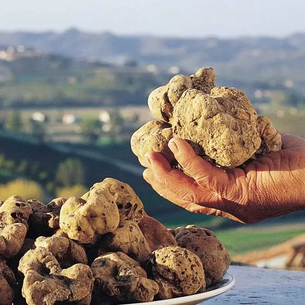 Volterragusto 2023 - XXV edizione: "Tartufo e il cibo, storia di un territorio"