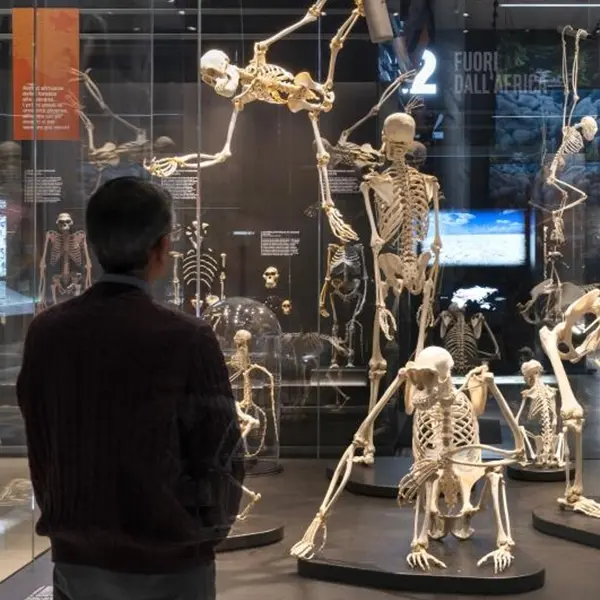 Al Museo di Storia Naturale apre la nuova sala sulla storia dell'evoluzione umana
