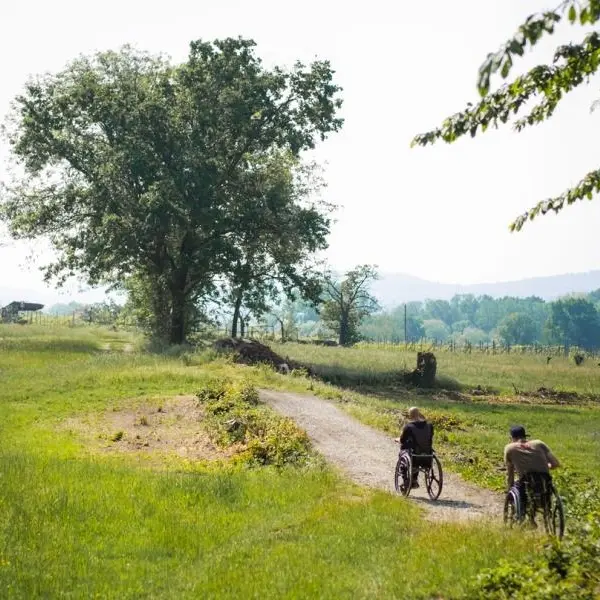 Nuovo avviso per candidarsi al progetto "Via Francigena for all"