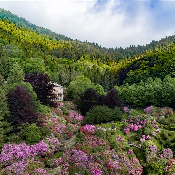 Forest Bathing in Oasi Zegna con il Centro Sportivo Educativo del Coni